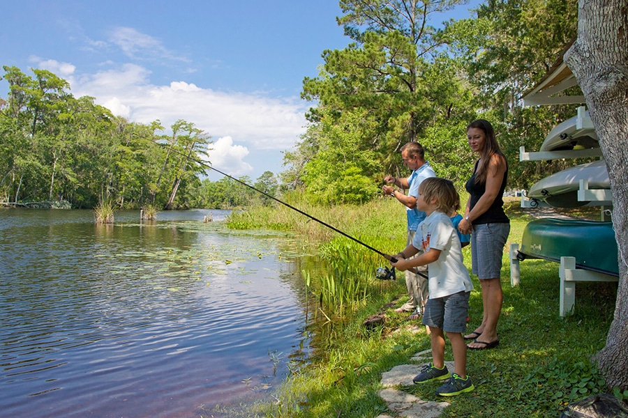 live oak landing