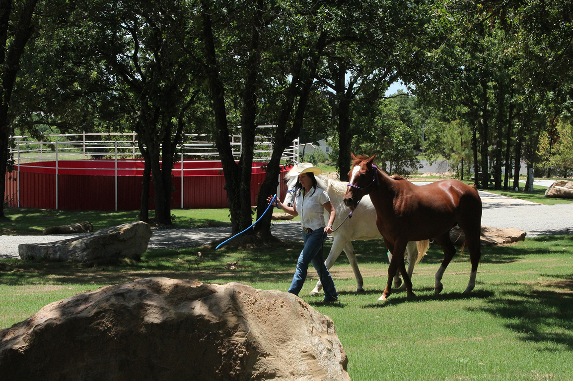 Little Turtle RV & Storage - Horse round pen