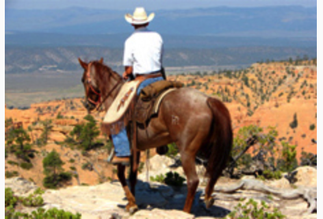 Bryce Canyon Pines RV Park - overlooking the canyons