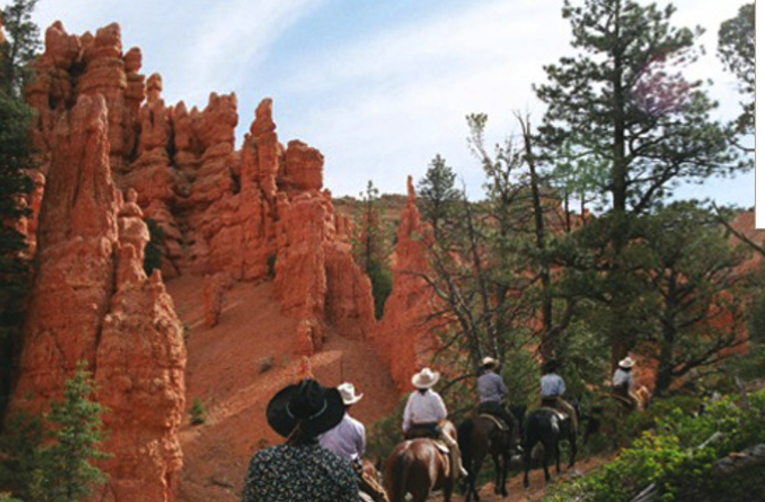 Bryce Canyon Pines RV Park