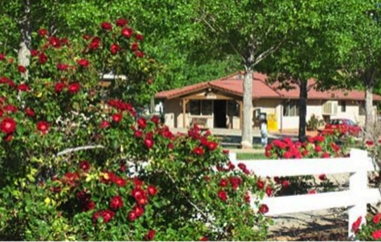 Spanish Trail RV Park - view of office with flowers