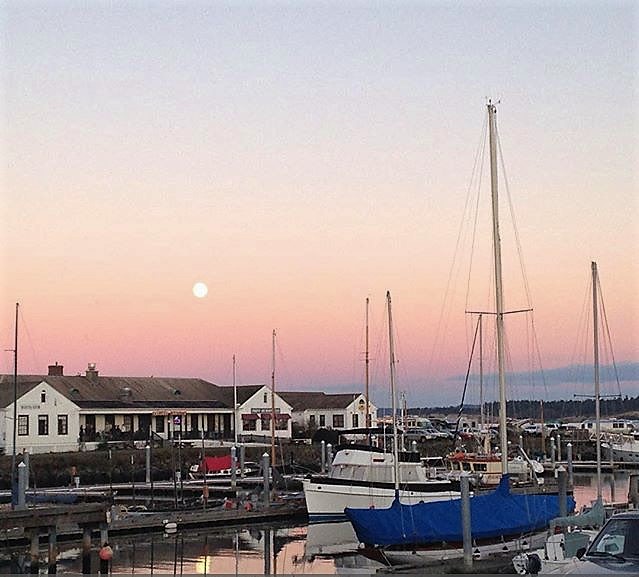 Point Hudson RV Park - sunset view at port