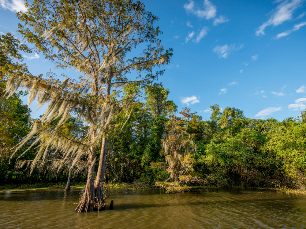 Houma CVB - river