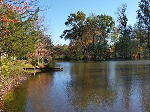 Shady Grove Campground - lake