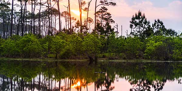 Gulf Shores lake with reflection of trees in water