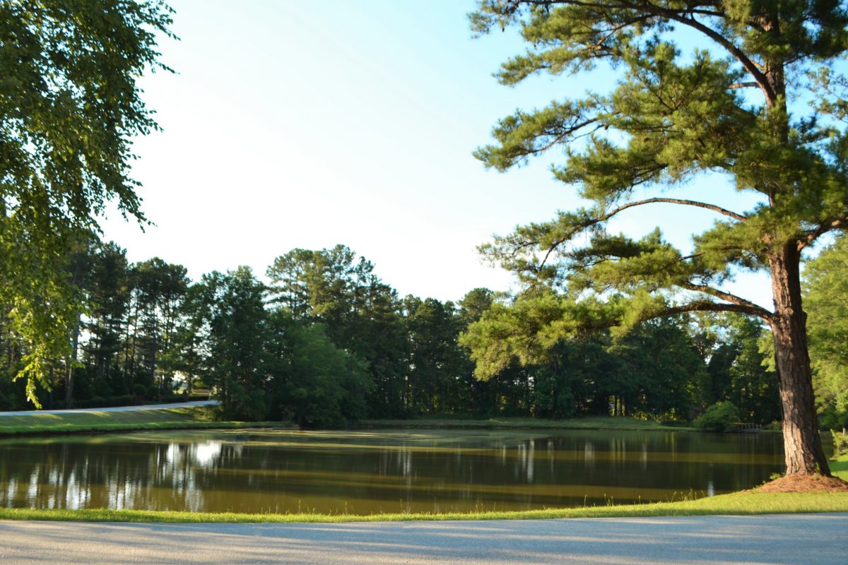 Lake Pines RV Park & Campground - lake