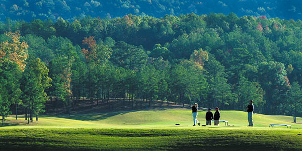 Golfers playing golf and standing on course in Birmingham