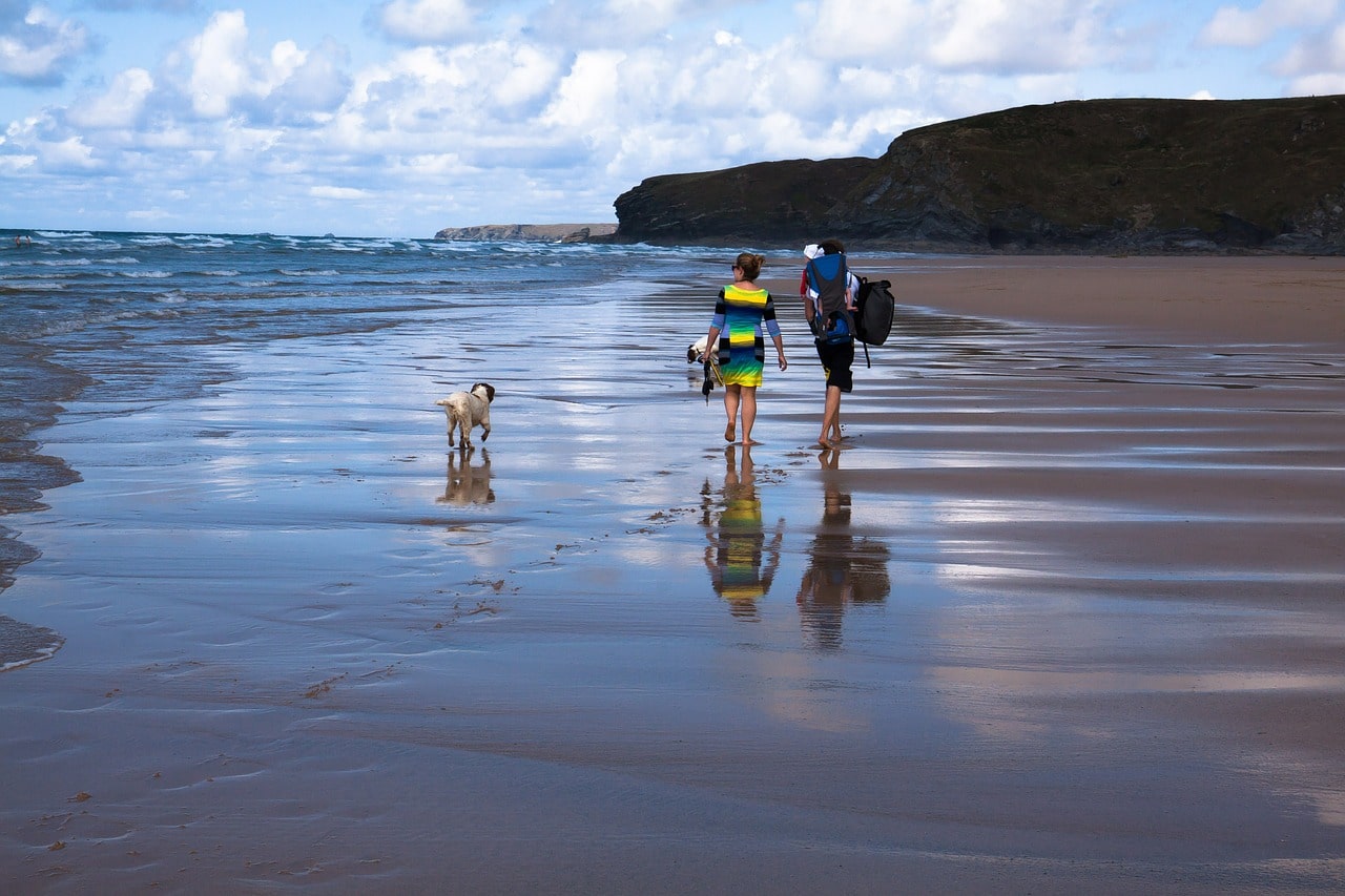 Clean up the dog poop when camping. Don't assume that it's ok.