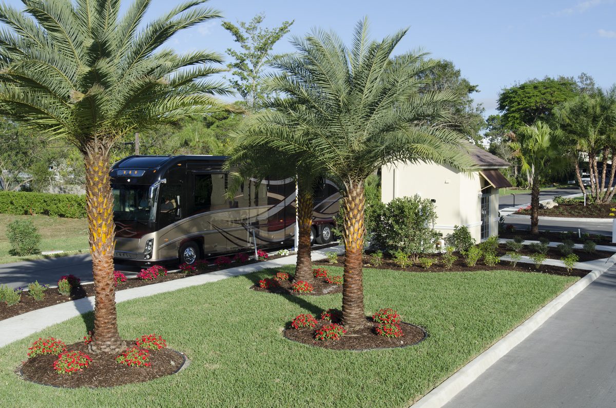 Cypress Trail RV Resort - back in site