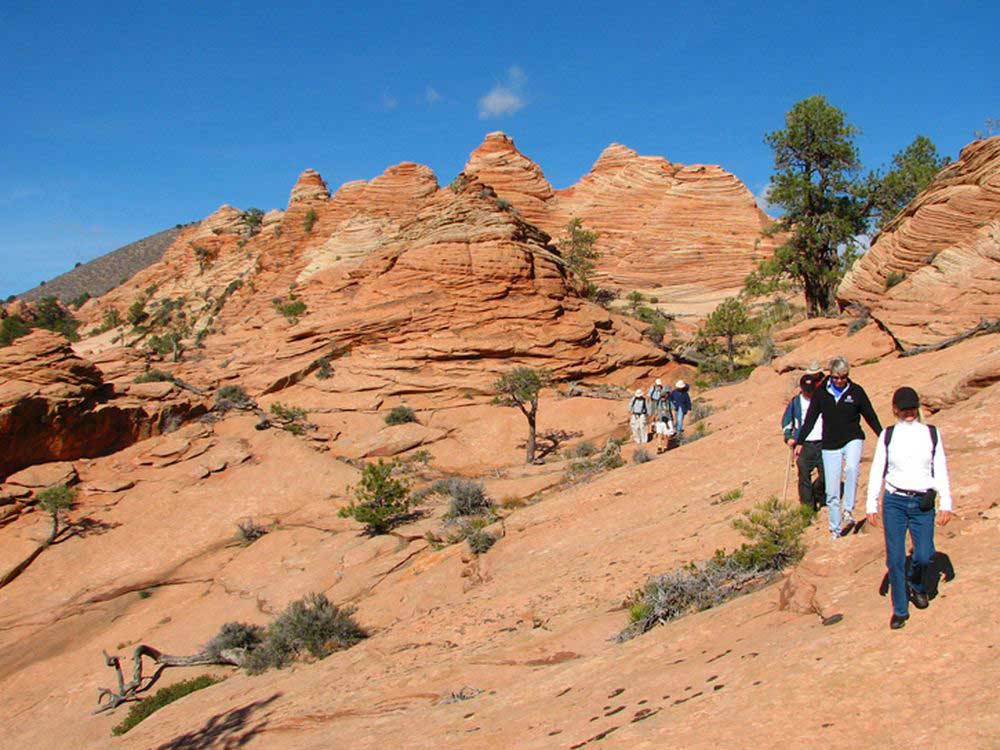 Several people hiking in the daytime in the desert looking Zion National Park