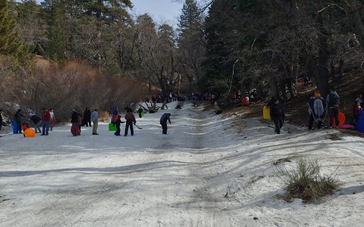 Large group of people on snowy hill preparing to sled. Copyright Infamousworks 2019