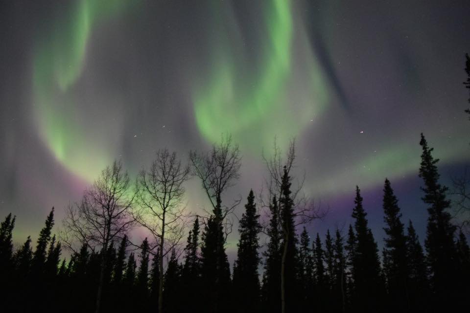 View of the Northern Lights at Tok RV Village