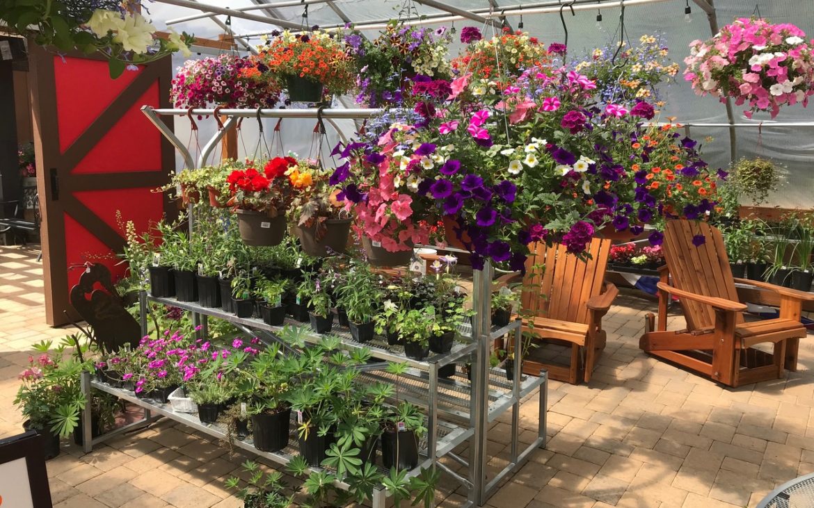 Retail rack of beautiful spring flowers