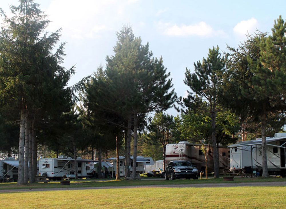 Multiple RVs parked around tall green trees.