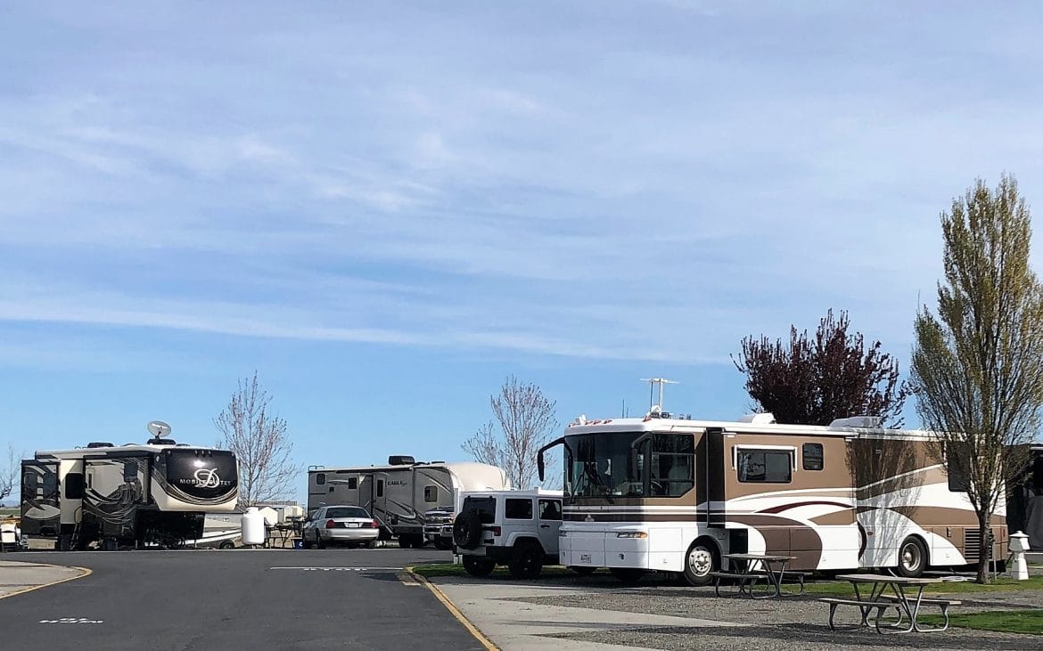 Large RVs and Trailers lined up along road in RV Park