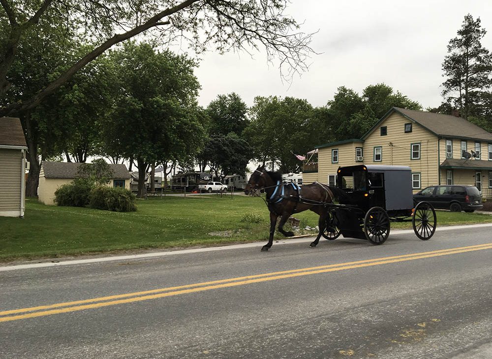 Black horse-drawn carriage being pulled down a paved road