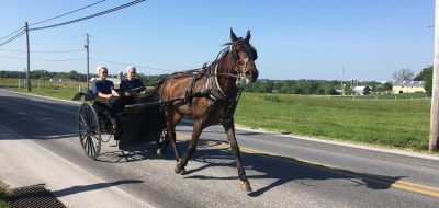 Two members of the Amish community being pulled in buggy by large horse