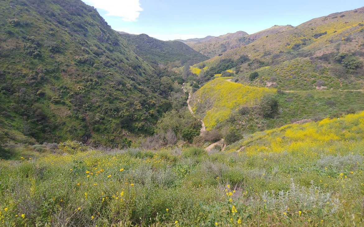 Winding trails through green and flowered hills