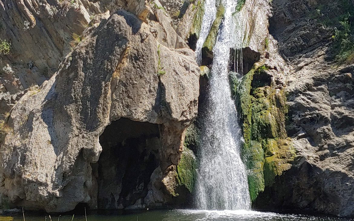 Paradise Falls and Wildwood Regional Park