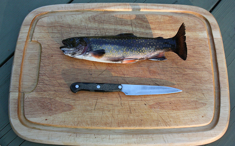 A trout on a cutting board with knife at the ready.