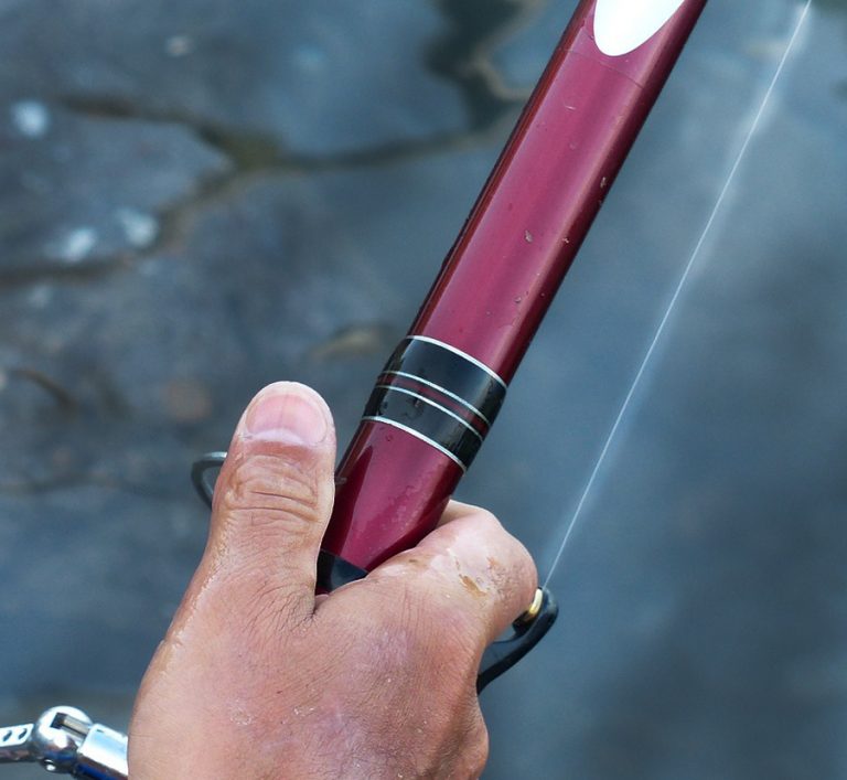 A Beginning Fishing Guide to the Right Rods, Reels & Line Camping Blog