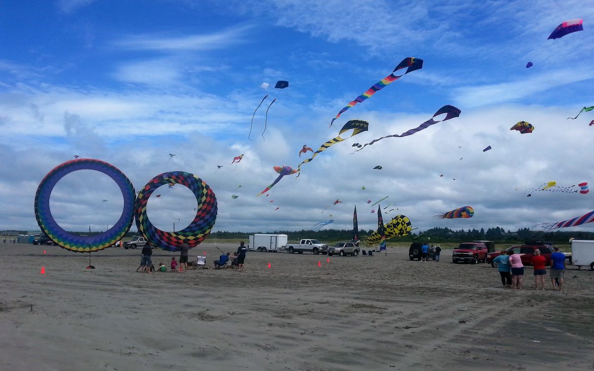 Numerous colorful kites along the shore