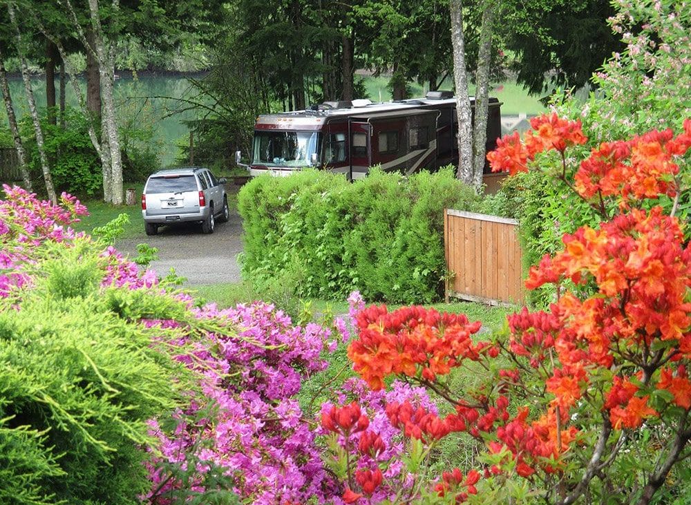 Beautiful and colorful bloomed flowers beside large RV
