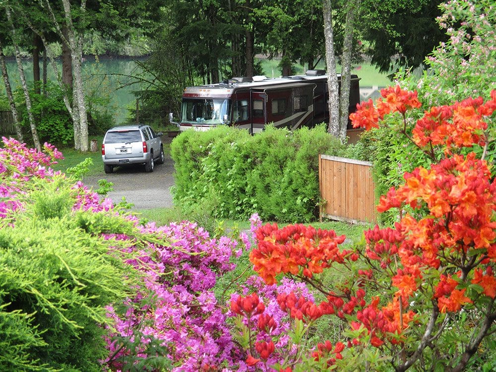 Beautiful and colorful bloomed flowers beside large RV
