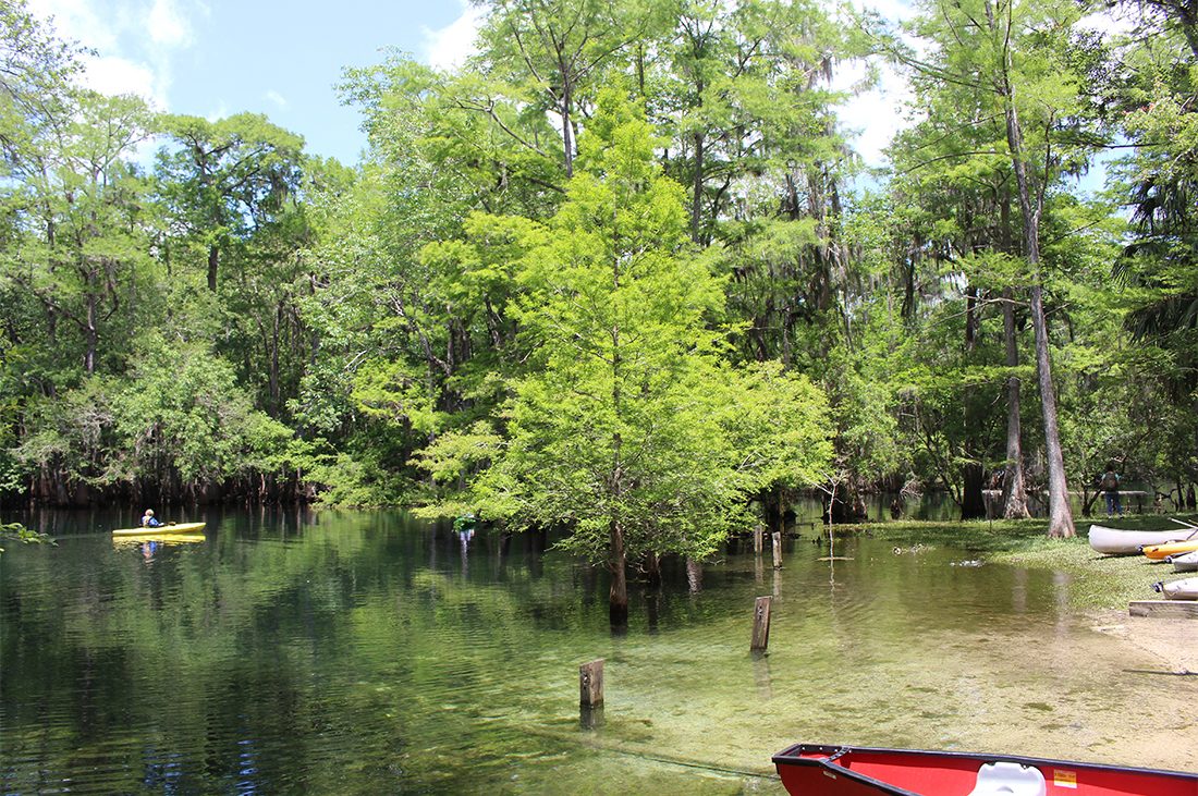 Kayaking in the clear waters of Manatee Springs State Park.