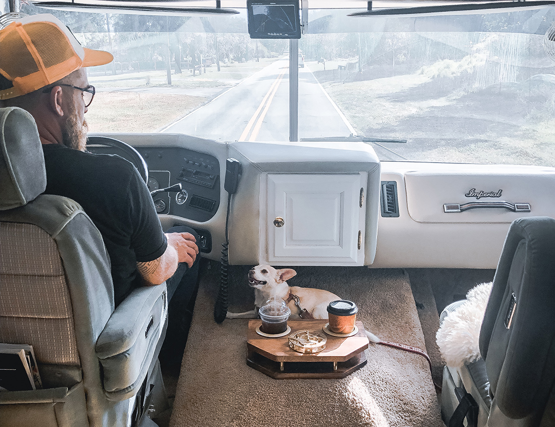 A chihuahua relaxes in the RV cockpit.
