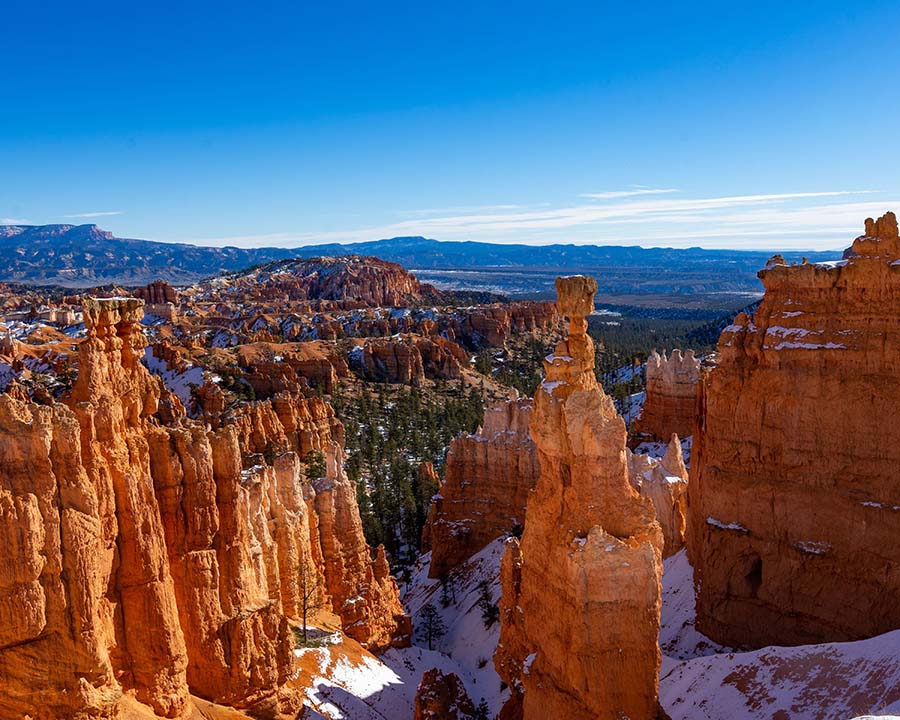 Hoodoos rise eerily in a valley in Bryce Canyon National Park. Hoodoos rise eerily in a valley in Bryce Canyon National Park.
