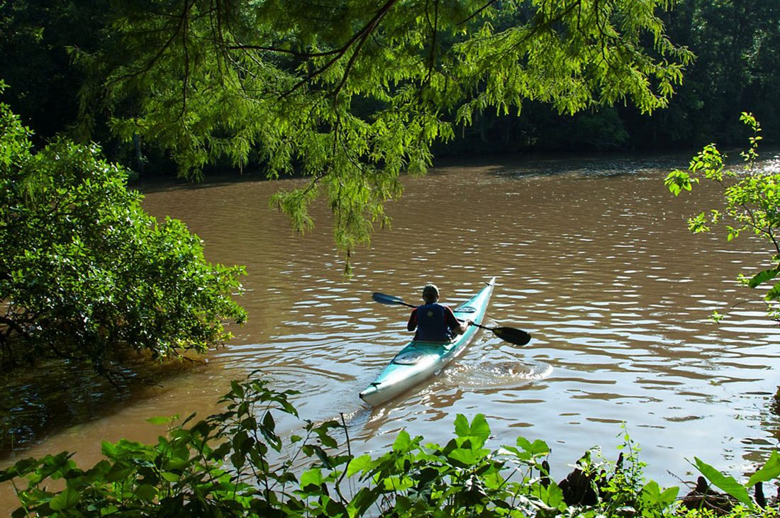 Kayaking on the bayou.