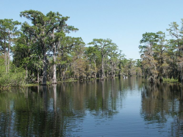 The Cajun Coast Great Outdoors Offers the Adventure of a Lifetime