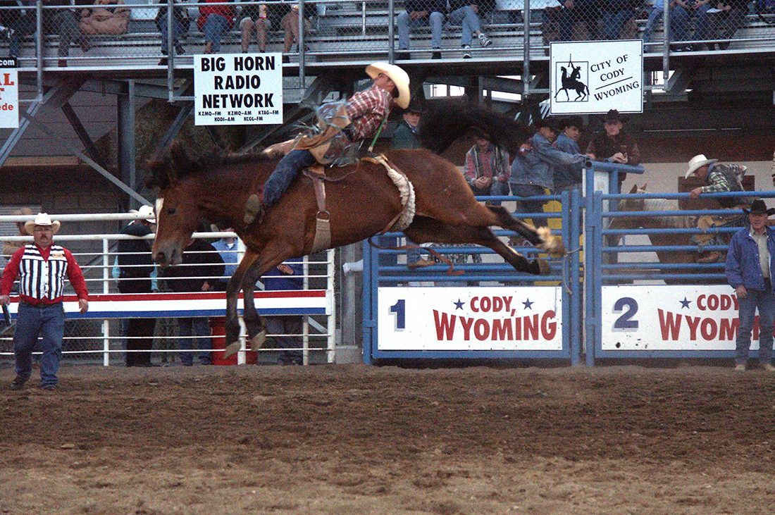 A rodeo rider tries to control a bucking bronco in Cody, Wyoming.