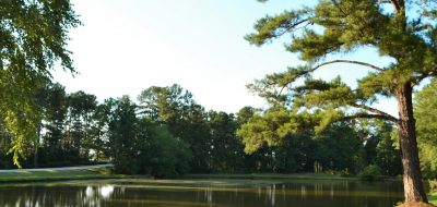 Lake with trees surrounding it