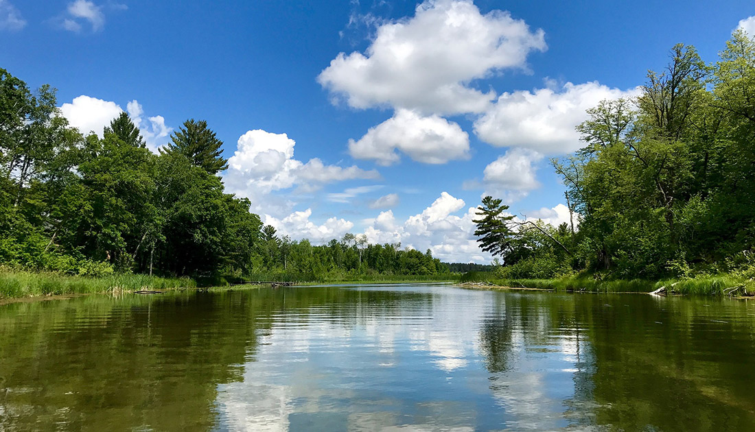 Green trees grow on both sides of a serene Minnesota River on a sunny day. 