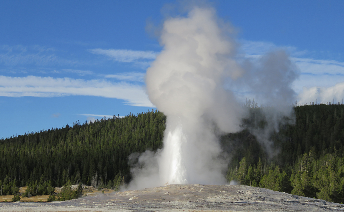 A geyser erupts in white vapor in Yellowstone National Park.