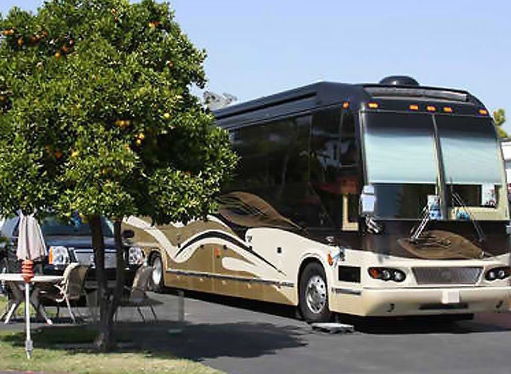 Brown, tan and beige motorhome parked next to trees
