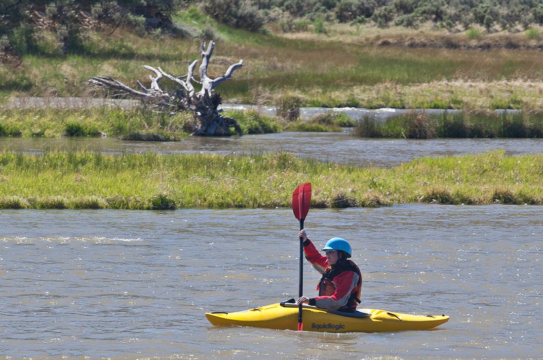 A lone kayaker paddles through a wetland area with gray, leafless tree in the background.
