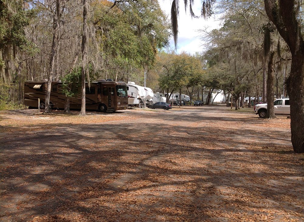 RVs parked in the shade in a rustic park setting.