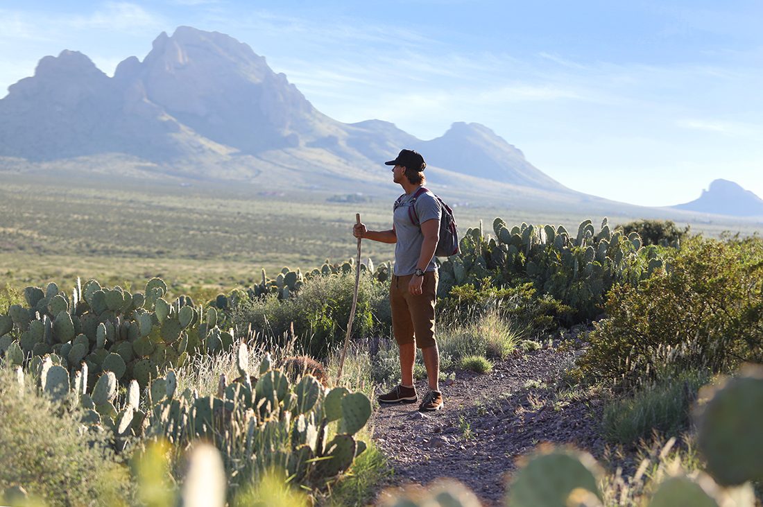 A hiker gazes out at a mountainous desert Southwest landscape with cactus and peaks in the background.