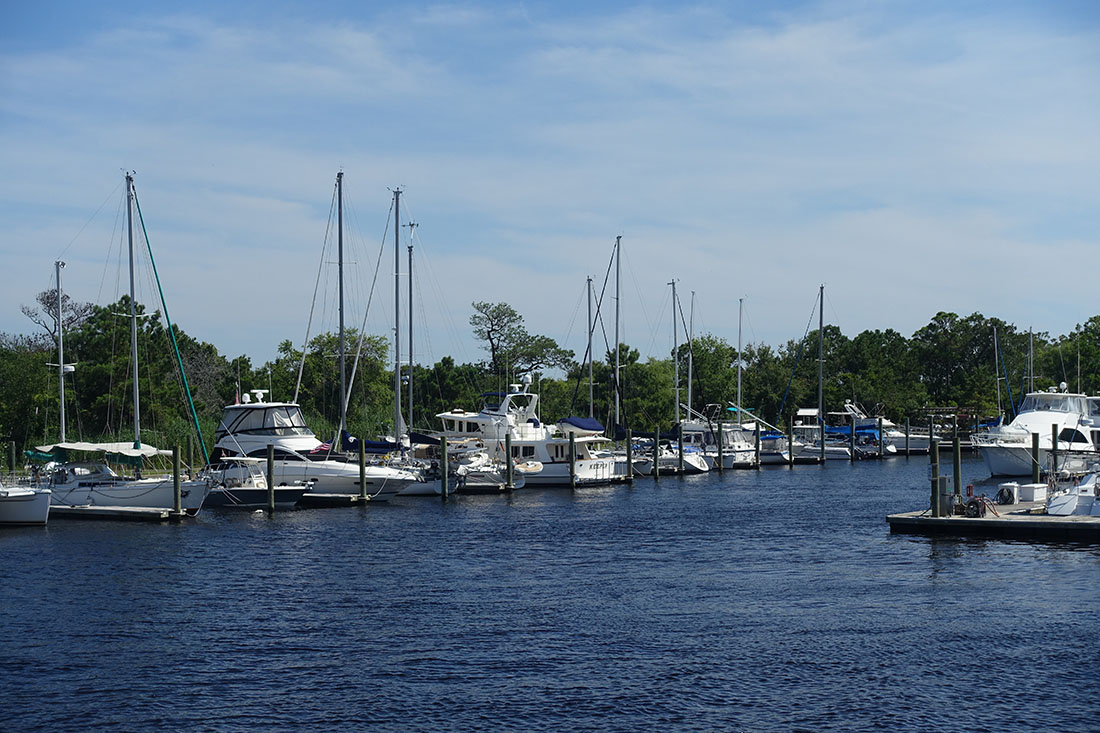 Boats line a dock with trees in the background.