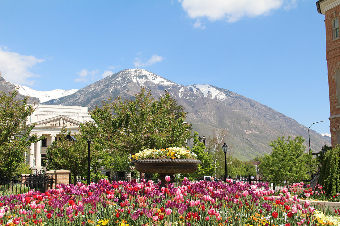 A view of a majestic mountain with flowers and greek revival building in the foregournd at lakeside rv campground
