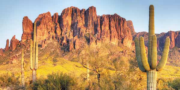 Flowers bloom in at the feet of the Superstition Mountains