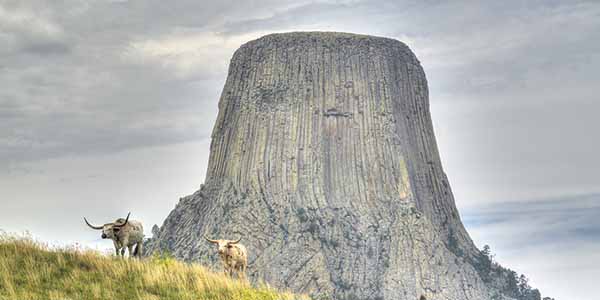 Devil's Tower, large rocky butte in a prairie