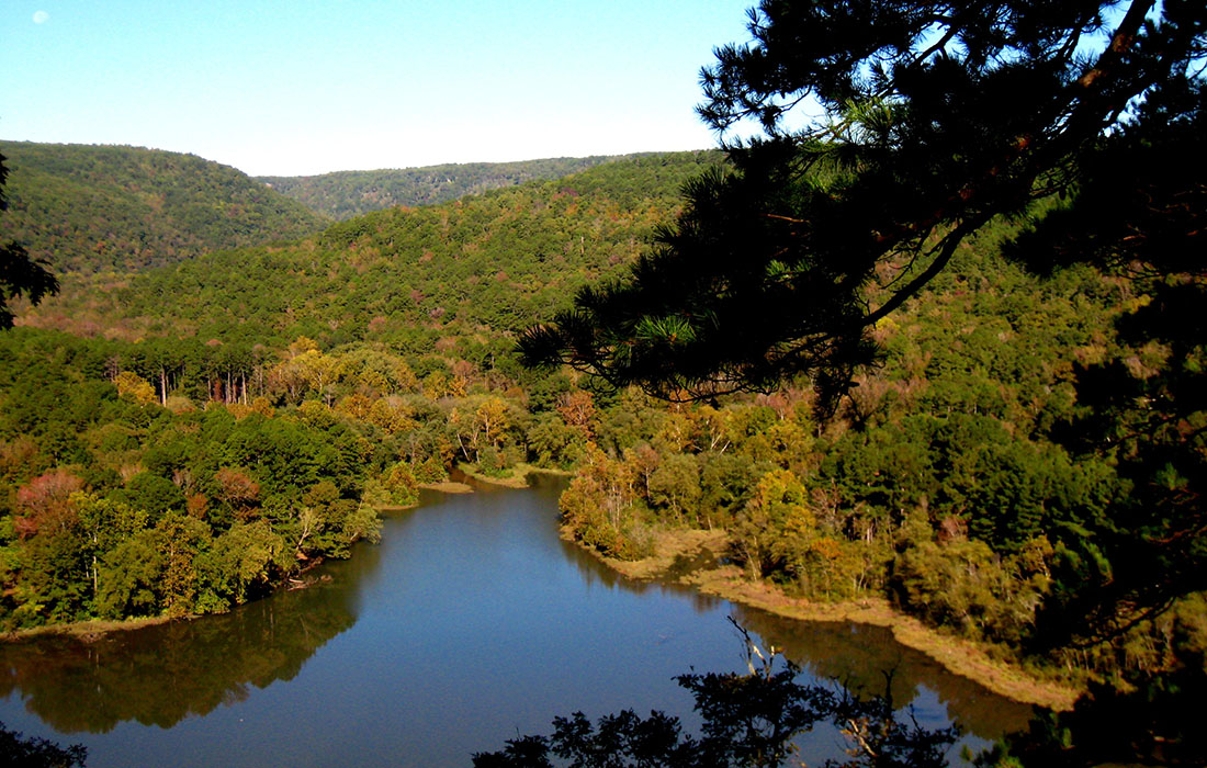 A jagged lakeshore is blanketed brown-golden-green autumn trees.