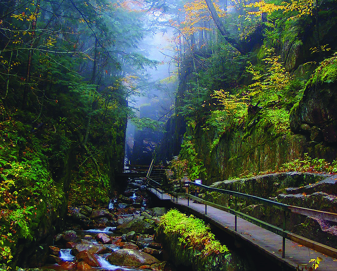 A boardwalk trail in New Hampshire.