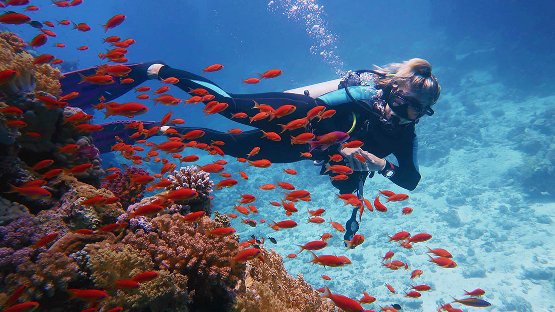 Scuba diving and snorkeling in Florida's Lower key A woman swims in a reef with lots of fish.