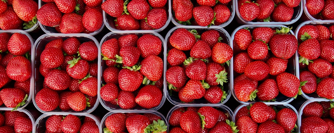 Looking down on containers of strawberries
