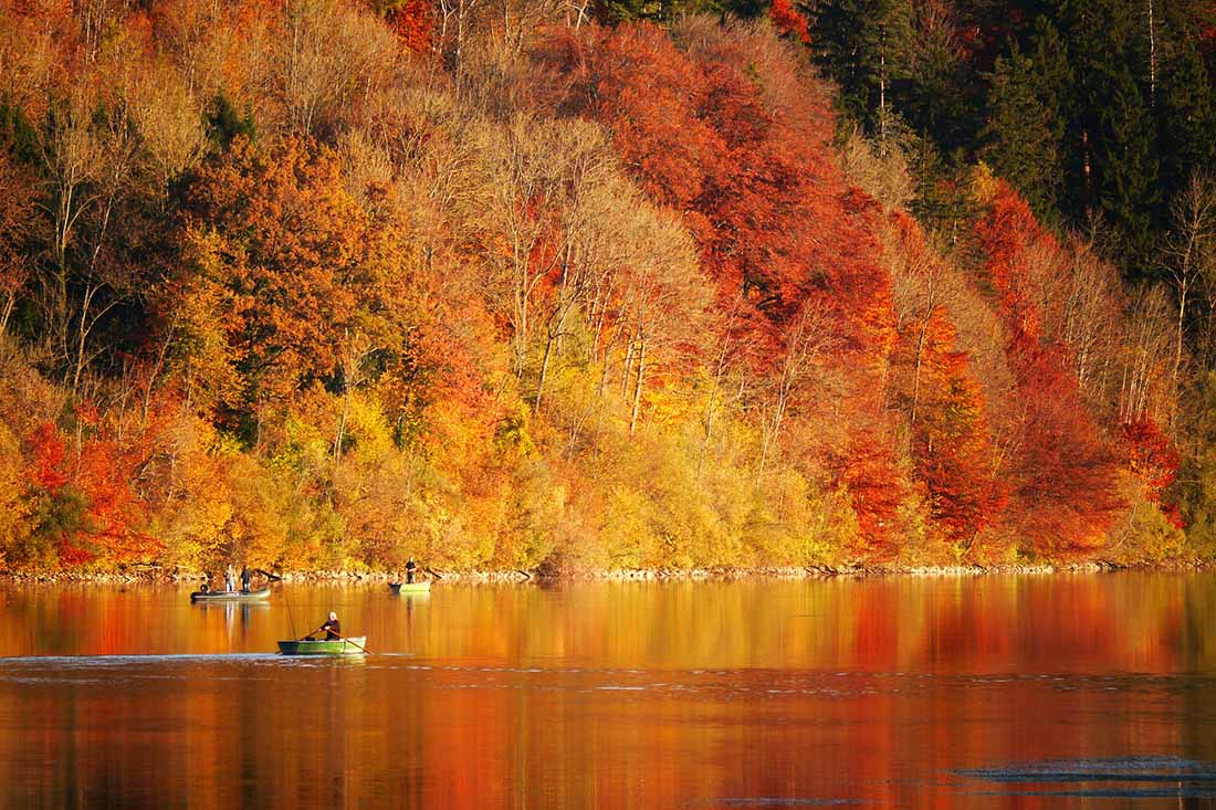 Anglers with lines in the water float in small fishing boats with the background golden fall foliage reflected on the lake.